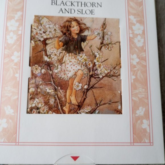 The Flower Fairies Changing Seasons: A Sliding Picture Book (Flower Fairies) - Picture 3 of 5